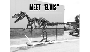 Torvosaurus – King of the Real Jurassic World Unearthed