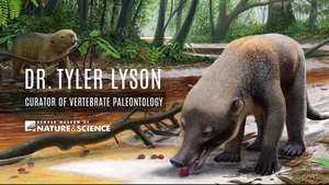 New Fossil Discovery Shows The Rapid Rise Of Mammals After KT Extinction
