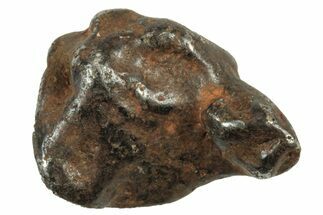 Canyon Diablo Iron Meteorites (6-8 Grams) - Arizona