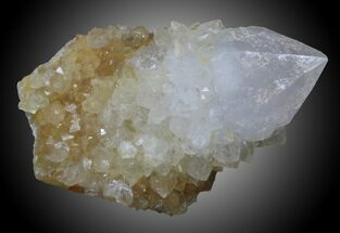 Cactus Quartz Crystals - South Africa #33914