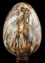 Giant Polished Petrified Wood Egg - Lbs #51660