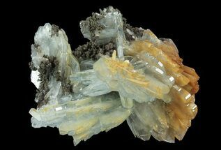 Blue, Bladed Barite Cluster - Morocco #70263