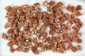 Lot: Small Twinned Aragonite Crystals - Pieces #78108