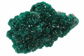 Sparkly, Dioptase Crystal Cluster - Namibia #78698