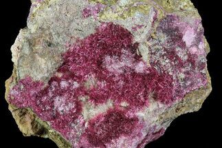 Fibrous Roselite Crystals - Excellent Color! #80538