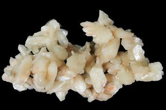 Peach Stilbite Crystal Cluster - Maharashtra, India #102362