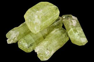 Bag Of Five Yellow Apatite Crystals ( - ) - Morocco #108370