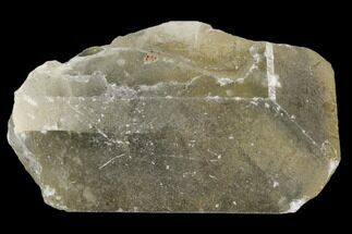 Tabular, Yellow-Brown Barite Crystal with Phantoms - Morocco #109902