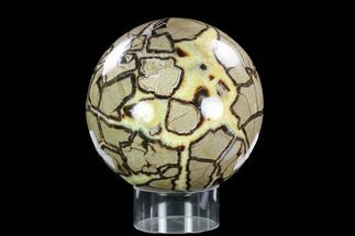 Huge, Polished Septarian Sphere ( lbs) - Madagascar #120751