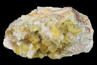 Yellow Cubic Fluorite Crystal Cluster with Quartz - Morocco #141645