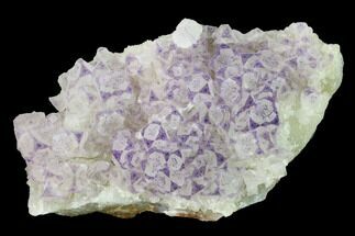 Purple Border, Cubic Fluorite Crystals on Quartz - China #146974