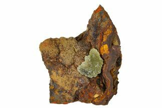 Yellow-Green Austinite Crystal Cluster - Durango, Mexico #154706