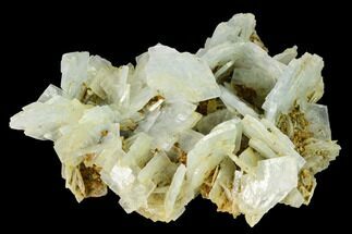 Bladed Blue Barite Crystal Cluster with Pyrite- Morocco #160124