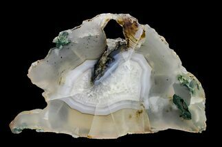 Banded Agate Replaced Petrified Wood Slab - Wyoming #163717