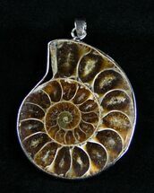 / Inch Ammonite Pendant #1867