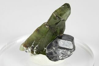 Green Olivine Peridot Crystal Cluster with Magnetite - Pakistan #183964