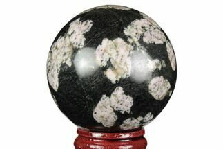 Polished Snowflake Stone Sphere - Pakistan #187517