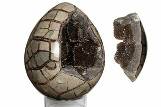 Polished Septarian Dragon Egg Geode #191460