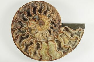 Cut & Polished Ammonite Fossil (Half) - Deep Crystal Pockets #200125