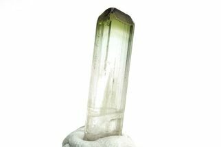 Green Elbaite Tourmaline Crystal - Rubaya, Congo #206898