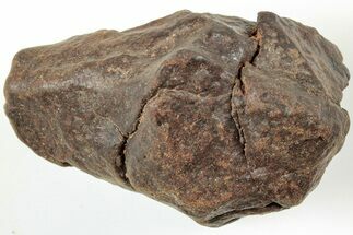 Chondrite Meteorite ( g) - Western Sahara Desert #233217