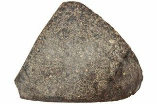 Polished Chondrite Meteorite Slice ( g) - Morocco #238013