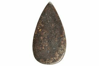 Polished Chondrite Meteorite Cabochon ( g) #238188