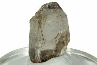 Glassy Rutilated Quartz Crystal - Brazil #244761