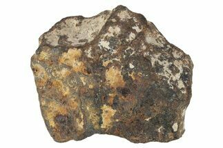 Agoudal Iron Meteorite ( g) - Morocco #245598