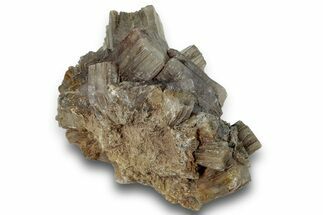 Twinned Aragonite Crystal Cluster - Minglanilla, Spain #244853