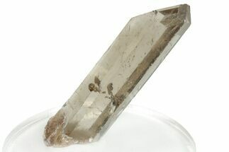 Glassy Smoky Quartz Crystal - Brazil #255467