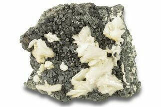 Bladed Barite Crystals With Sphalerite & Chalcopyrite - Peru #260180