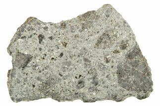 Howardite Meteorite ( g) Slice - From Vesta Minor-Planet #263243