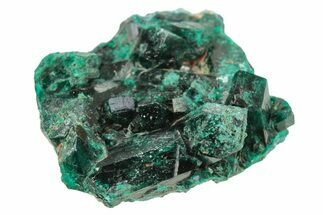 Lustrous Dioptase Crystal Cluster - Republic of the Congo #266245