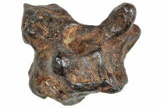 Sericho Pallasite Meteorite ( g) Metal Skeleton #267398