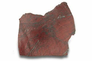 Stromatolite (Collenia) Slab - Minnesota #270159