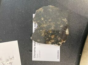 Chondrite Meteorite ( g) - NWA #266664