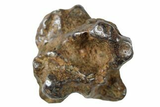 Sericho Pallasite Meteorite ( g) Metal Skeleton #267116