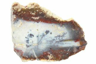 Polished Colorful Agate with Native Copper - Java, Indonesia #271517