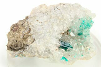 Dark Green Dioptase Crystals on Quartz - Republic of the Congo #272935
