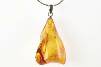 Polished Baltic Amber Pendant (Necklace) - Contains Aphid! #273401