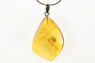 Polished Baltic Amber Pendant (Necklace) - Contains Wasp! #273457