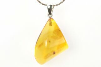 Polished Baltic Amber Pendant (Necklace) - Contains Moth Fly! #273463