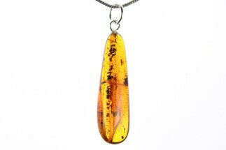 Polished Baltic Amber Pendant (Necklace) - Contains Beetles! #273472
