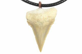 Serrated, Fossil Paleocarcharodon Shark Tooth Necklace #273608