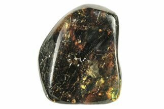 Polished Chiapas Amber ( g) - Mexico #274406