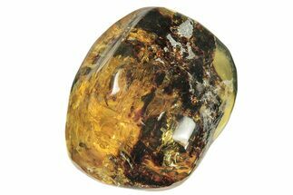 Polished Chiapas Amber ( g) - Mexico #274410