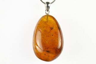 Polished Baltic Amber Pendant (Necklace) - Contains Ants & Flies! #275721
