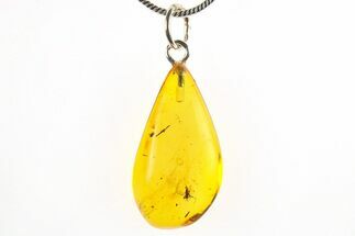Polished Baltic Amber Pendant (Necklace) - Contains Fly & Webs! #275808