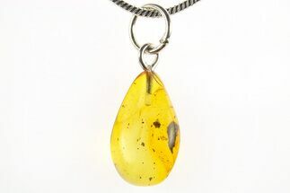 Polished Baltic Amber Pendant (Necklace) - Contains Insect! #275839